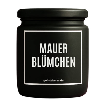 Erste von künstlicher Intelligenz kreierte Vegane Bio-Kerze mit Spruch – MAUERBLÜMCHEN Mega lange Brenndauer von 80 Stunde, hochwertige ätherische Öle schaffen beste Duftverteilung. Mit 1400 lustigen Sprüchen perfekt zum Verschenken. Handgemacht in Deutschland von geilstekerze.de -Die beste Duftkerze die du kaufen kannst.